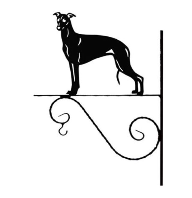 10_-_162_-_Whippet_-_kw.jpg