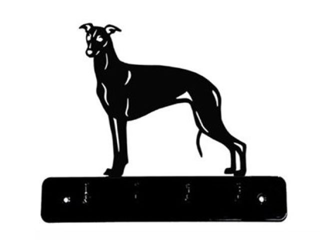 10_-_162_-_Whippet_-_wi.jpg