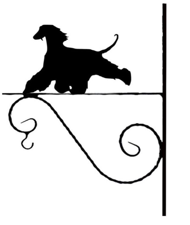 10_-_228_-_Afghanhund_Run_-_kw.jpg