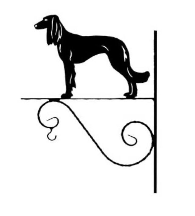 10_-_269_-_Saluki_-_kw.jpg