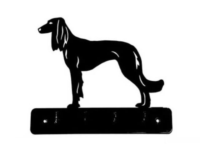10_-_269_-_Saluki_-_wi.jpg