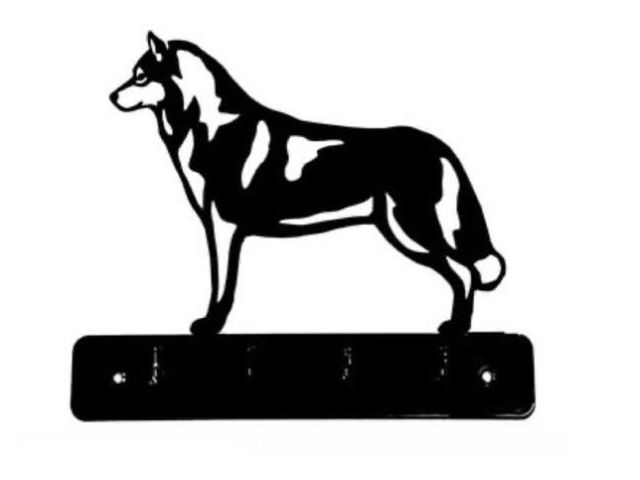 5_-_270_-_Siberian_Husky_-_wi.jpg