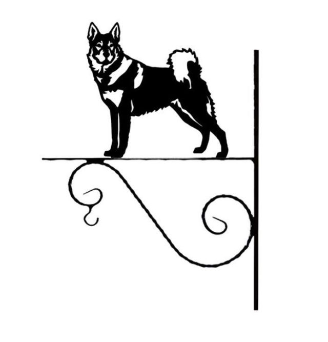 5_-_42_-_Jamthund_-_kw.jpg