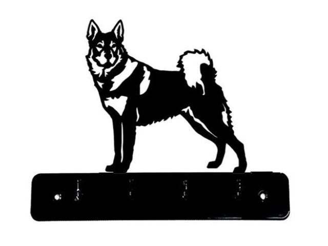 5_-_42_-_Jamthund_-_wi.jpg