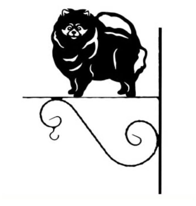 5_-_49_-_Pomeranian_-_kw.jpg