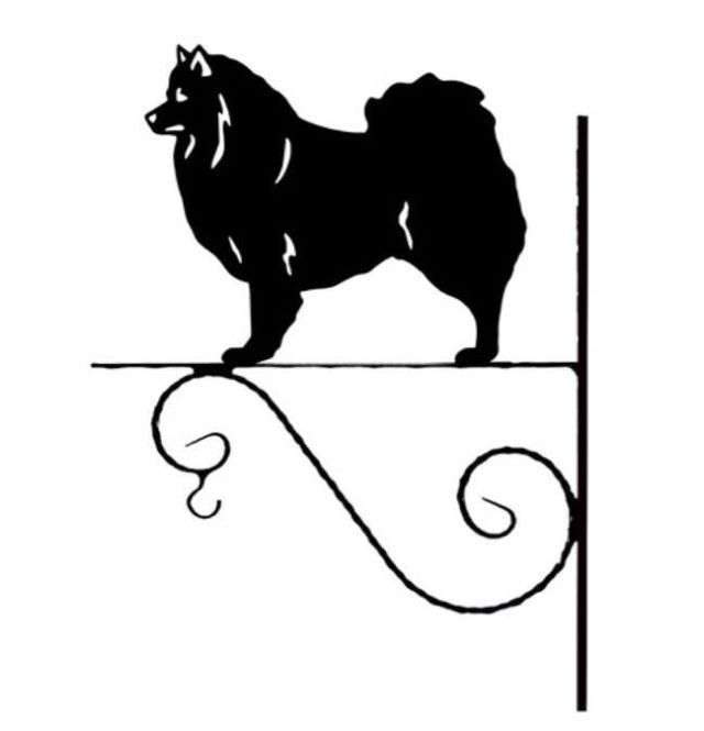 5_-_97_-_German_Spitz_-_kw.jpg