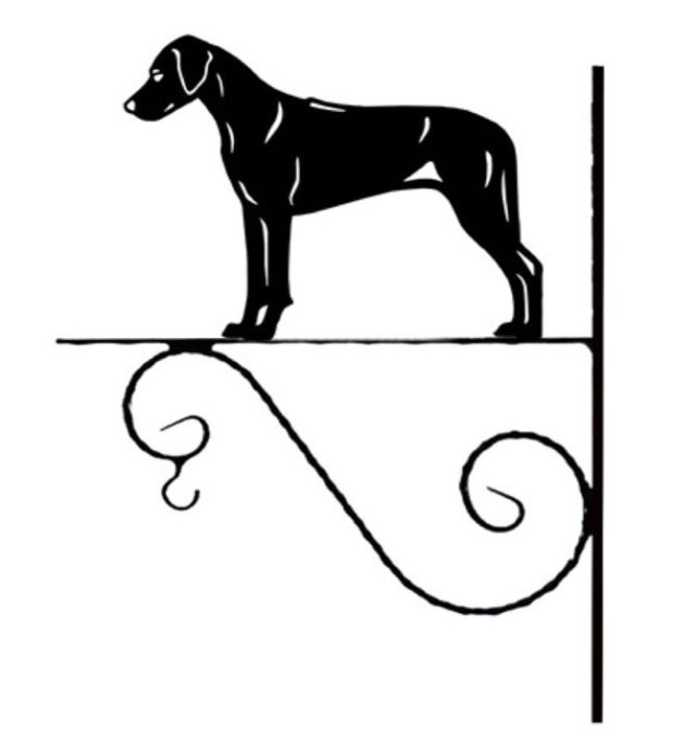 6_-_146_-_Rhodesian_Ridgeback_-_kw.jpg