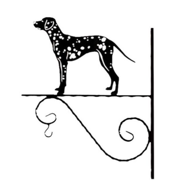 6_-_153_-_Dalmatiner_-_kw.jpg