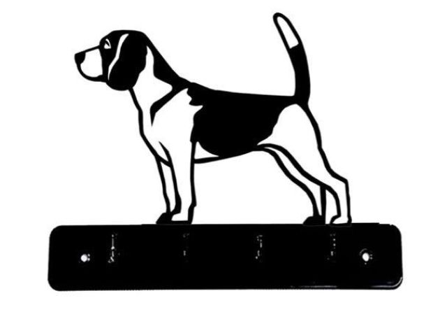 6_-_161_-_Beagle_-_2_-_wi.jpg