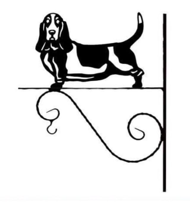 6_-_163_-_Basset_Hound_-_kw.jpg