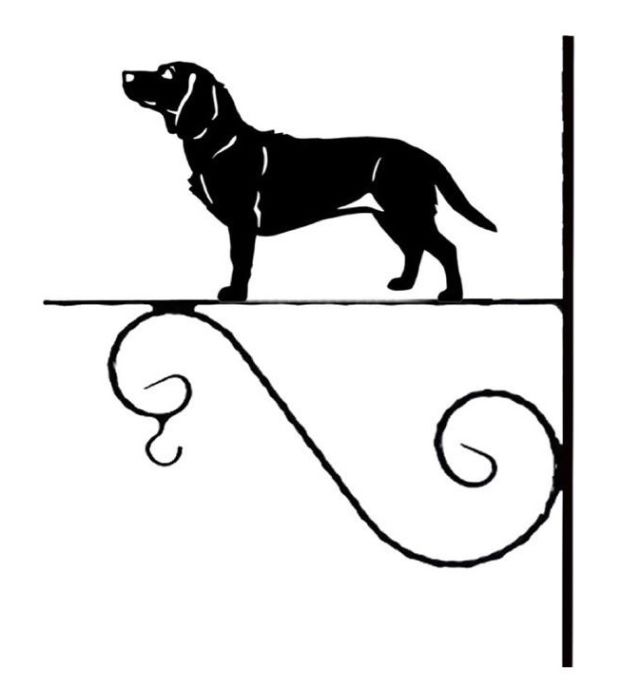 6_-_254_-_Alpejski_gonczy_-_Dachsbracke_-_kw.jpg