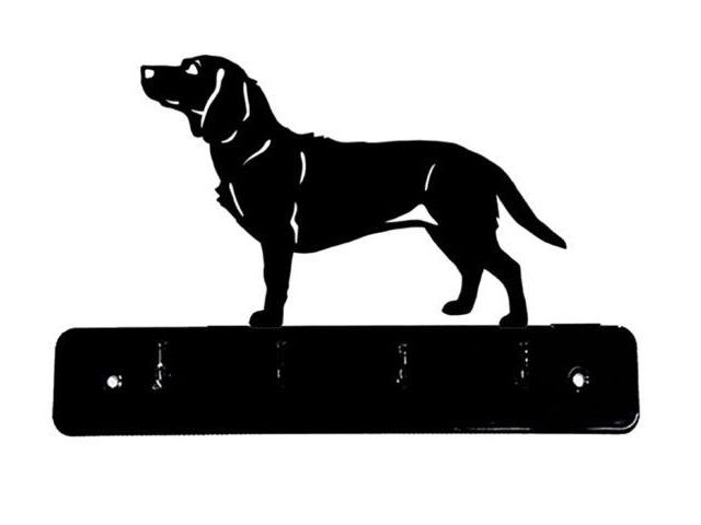 6_-_254_-_Alpejski_gonczy_-_Dachsbracke_-_wi.jpg
