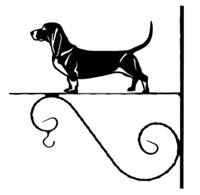 6_-_34_-_Basset_Artesien_Normand_-_kw.jpg