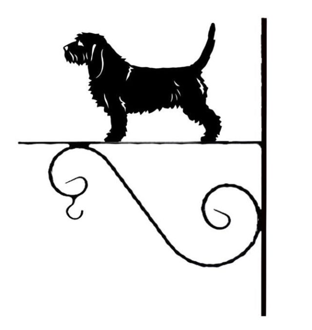 6_-_36_-_Basset_Fauve_De_Bretagne_-_kw.jpg