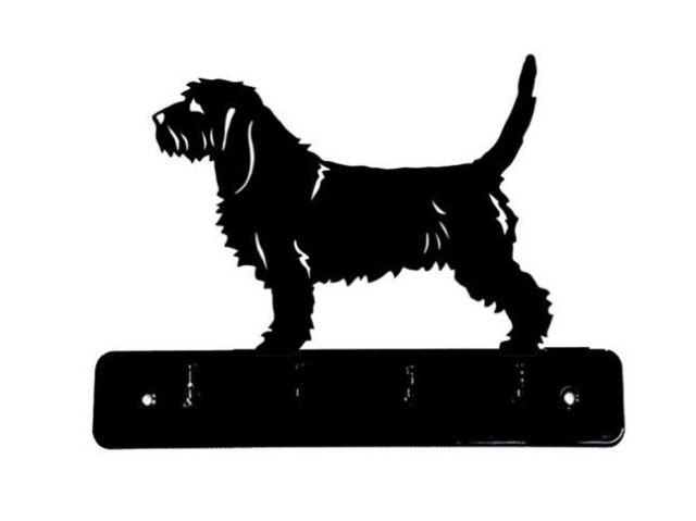 6_-_36_-_Basset_Fauve_De_Bretagne_-_wi.jpg