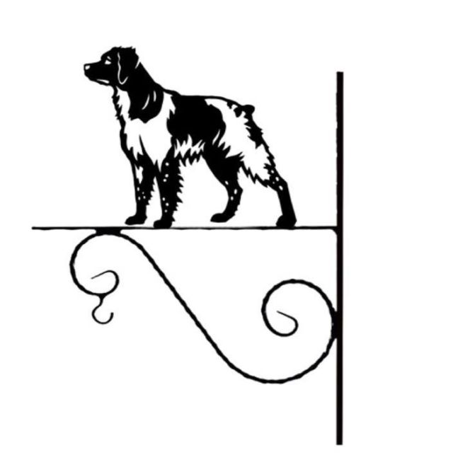 7_-_FCI_nr._95_-_Breton_-_kw.jpg