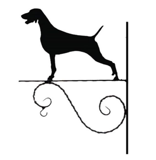 7_-_FCI_nr._99_-_wyzel_weimaraner_-_kw.jpg