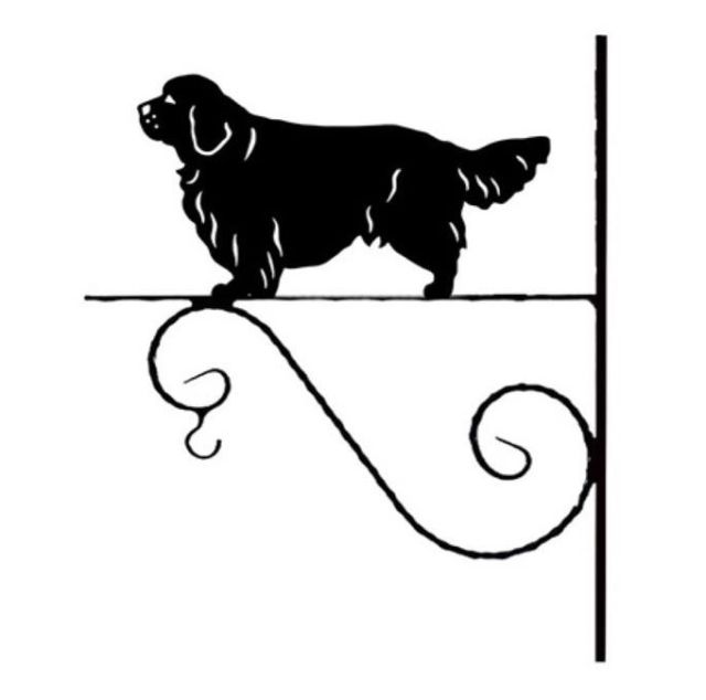 8_-_109_-_Clumber_Spaniel_-_kw.jpg