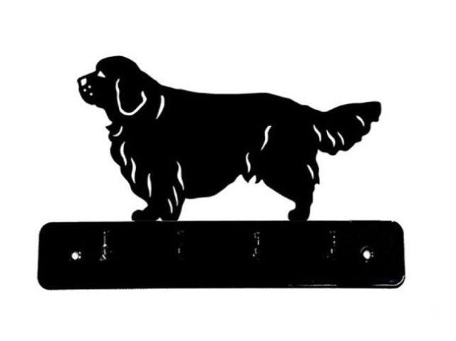 8_-_109_-_Clumber_Spaniel_-_wi.jpg