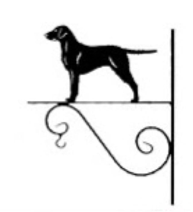 8_-_110_-_Curly_Coated_Retriever_-_kw.jpg