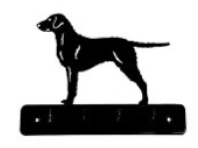 8_-_110_-_Curly_Coated_Retriever_-_wi.jpg