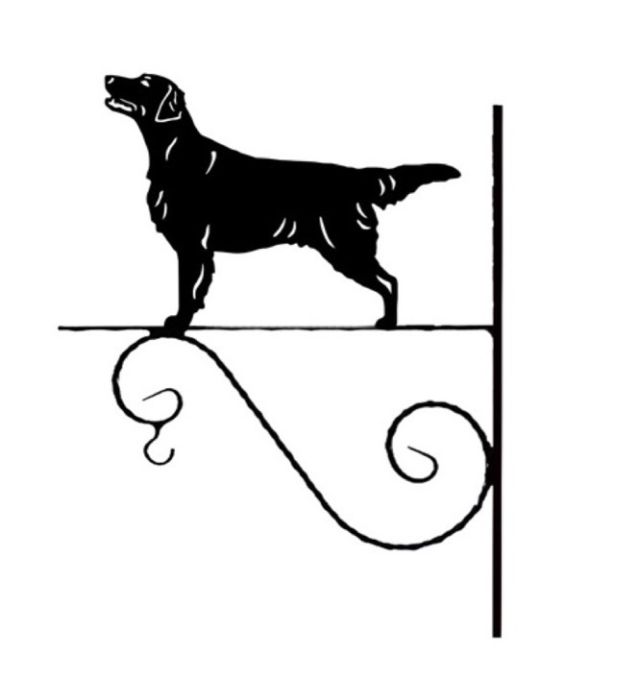 8_-_121_-_Flat_Coated_Retriever_-_kw.jpg