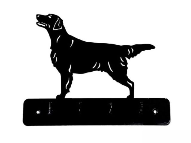 8_-_121_-_Flat_Coated_Retriever_-_wi.jpg
