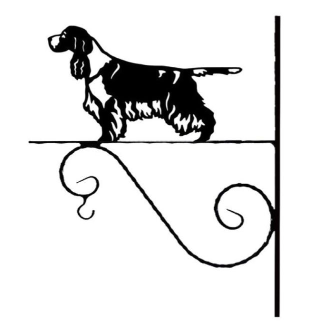8_-_125_-_Engelsk_Springer_Spaniel_-_kw.jpg