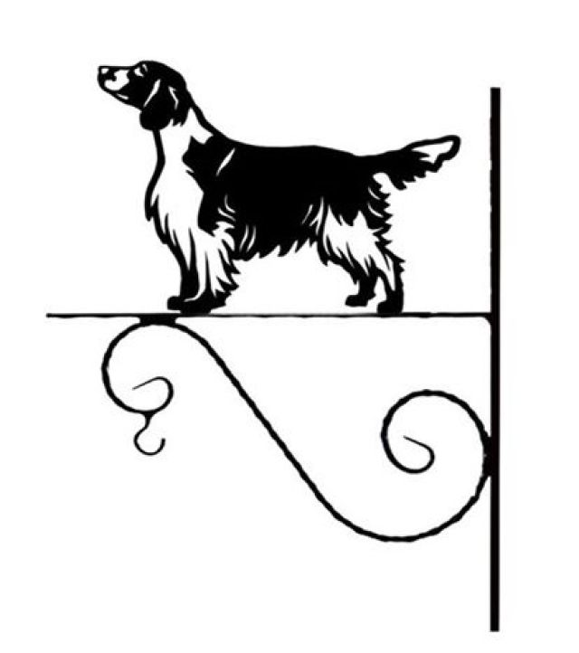 8_-_126_-_Welsh_Springer_Spaniel_-_kw.jpg