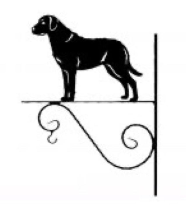 8_-_263_-_Chesapeake_Retriever_-_kw.jpg