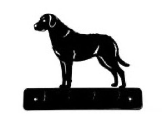 8_-_263_-_Chesapeake_Retriever_-_wi.jpg