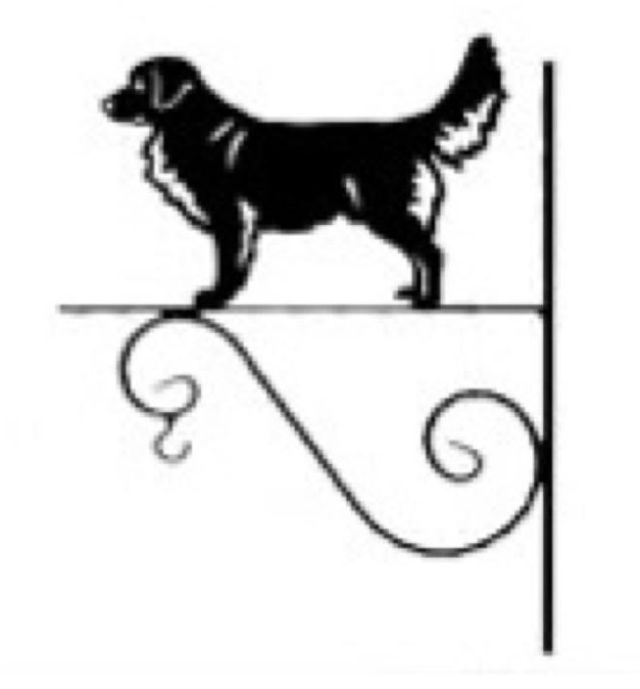 8_-_312_-_Nova_Scotia_Duck_Tolling_Retriever_-_kw.jpg