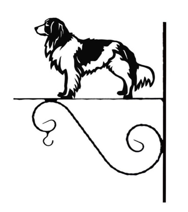 8_-_314_-_Nederlandse_Kooikerhondje_-_kw.jpg