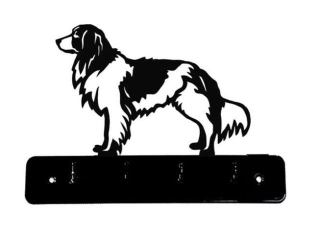 8_-_314_-_Nederlandse_Kooikerhondje_-_wi.jpg