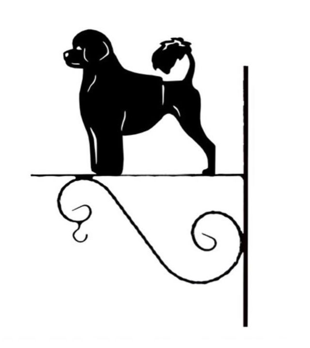 8_-_37_-_Portugisisk_Vattenhund_-_kw.jpg