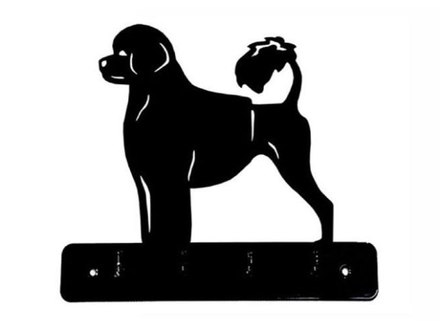 8_-_37_-_Portugisisk_Vattenhund_-_wi.jpg