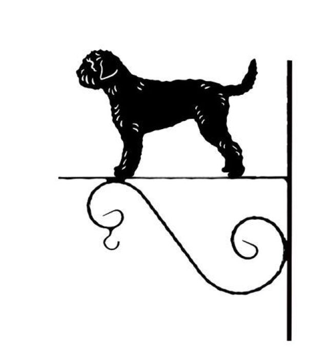 8_-_FCI_nr._298_-_Lagotto_Romagnolo.jpg