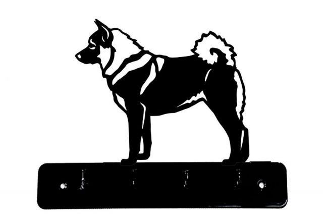V-242-Elkhund-szary-wi.jpg